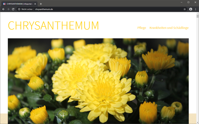 <b>Chrysanthemum.de</b>