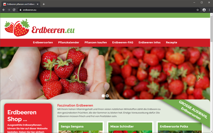 <b>Erdbeeren.eu</b>